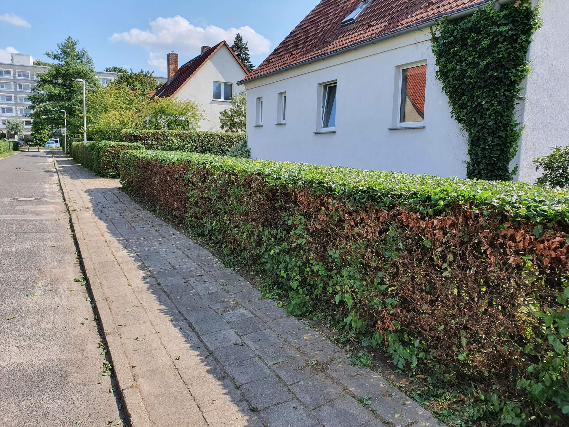 Lindenhof Grünpflege